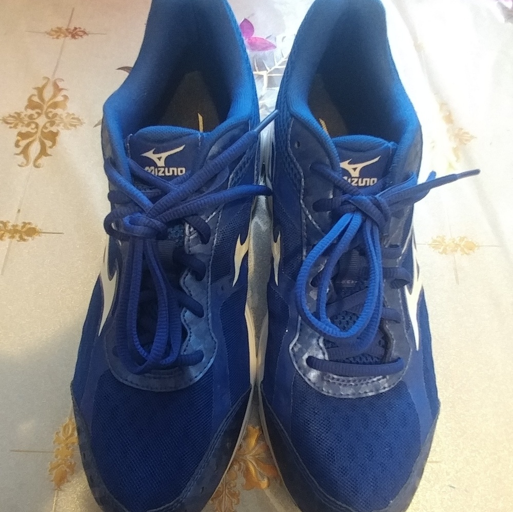 Mizuno Wave Riders Running Shoes